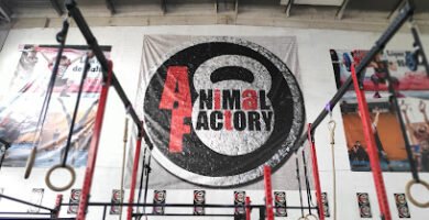 Animal Factory BOX