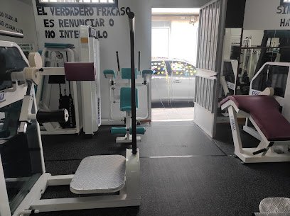 Fitness Salud