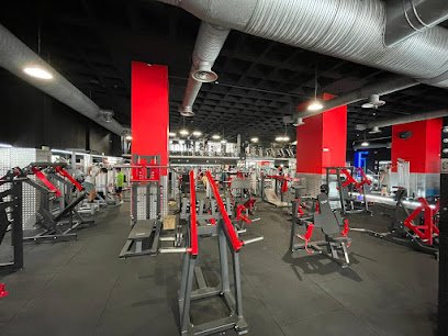 Gimnasio Holiday Gym Castellana