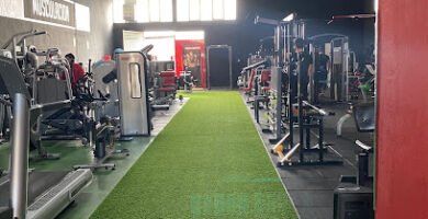 PODIUM GIMNASIO