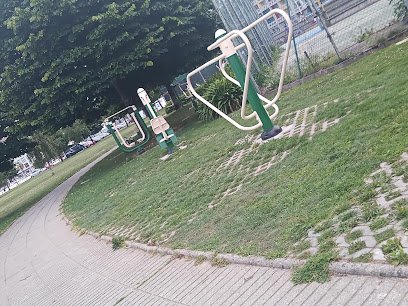 Area de Deporte Personas Mayores