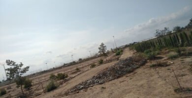 Circuito Pinatar