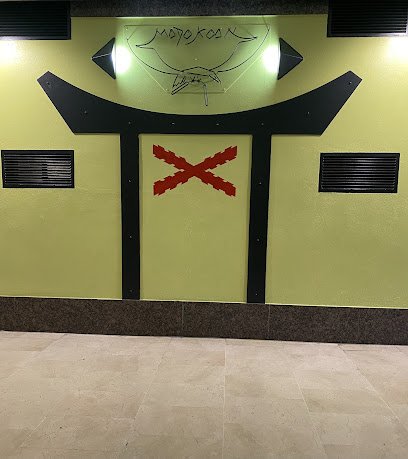 Gimnasio Madokoan