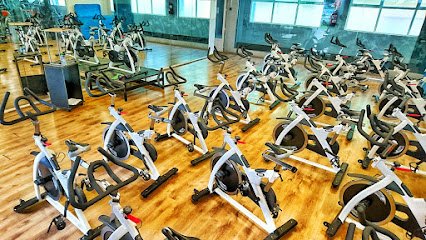 ARPO GYM