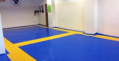 Club de Judo Enrique Palacios