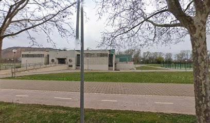Sala Polivalente de la UR